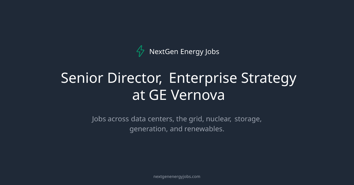 Senior Director, Enterprise Strategy at GE Vernova