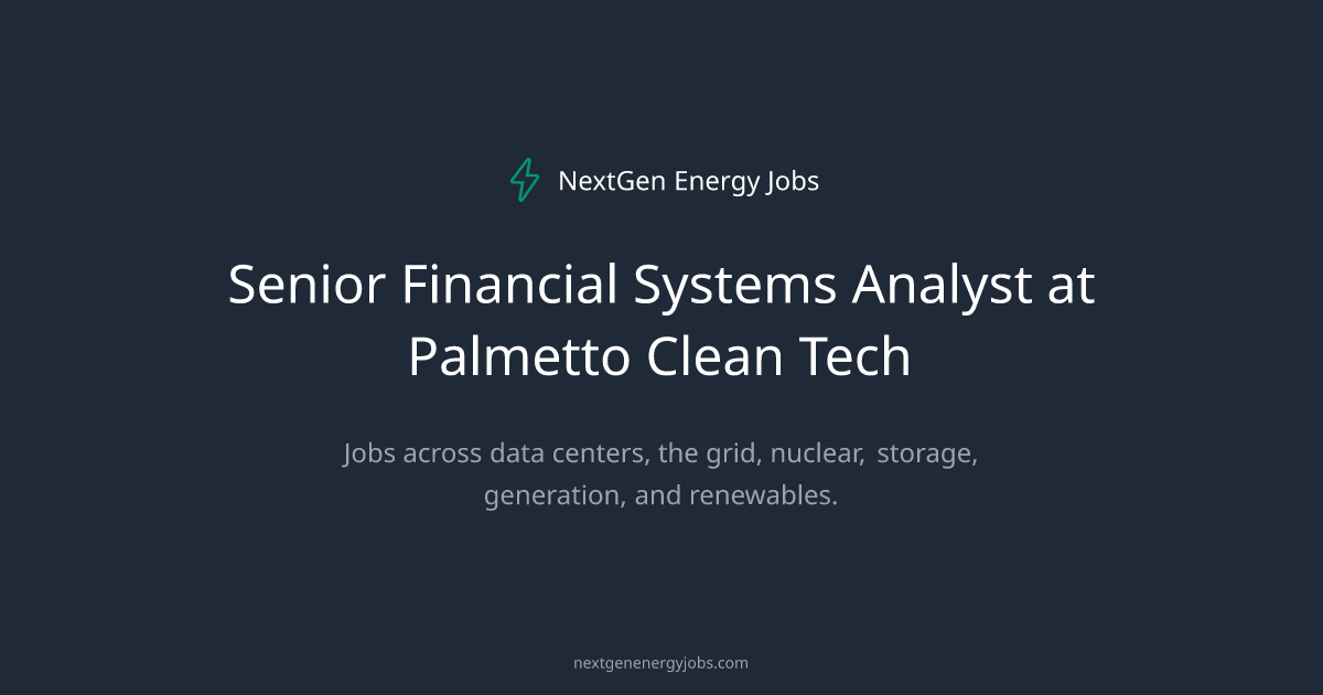 Senior Financial Systems Analyst at Palmetto Clean Tech